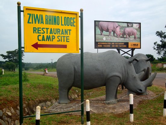 You are currently viewing Ziwa rhino sanctuary
