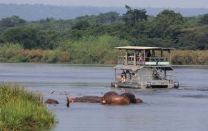 Read more about the article Murchison falls national park