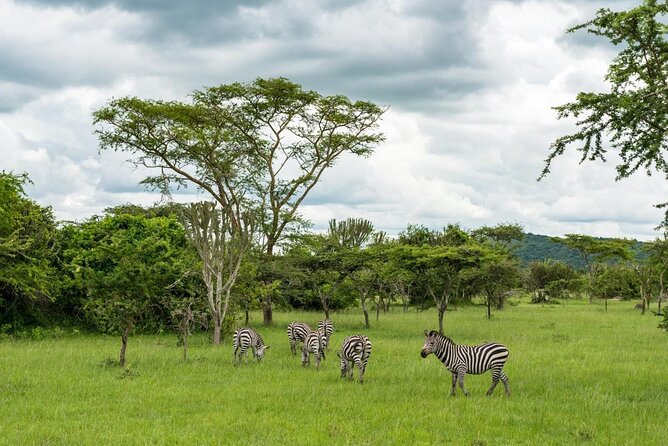 Read more about the article 2 days Lake Mburo National Park