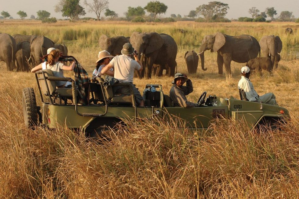 3 days Kidepo National Park safari
