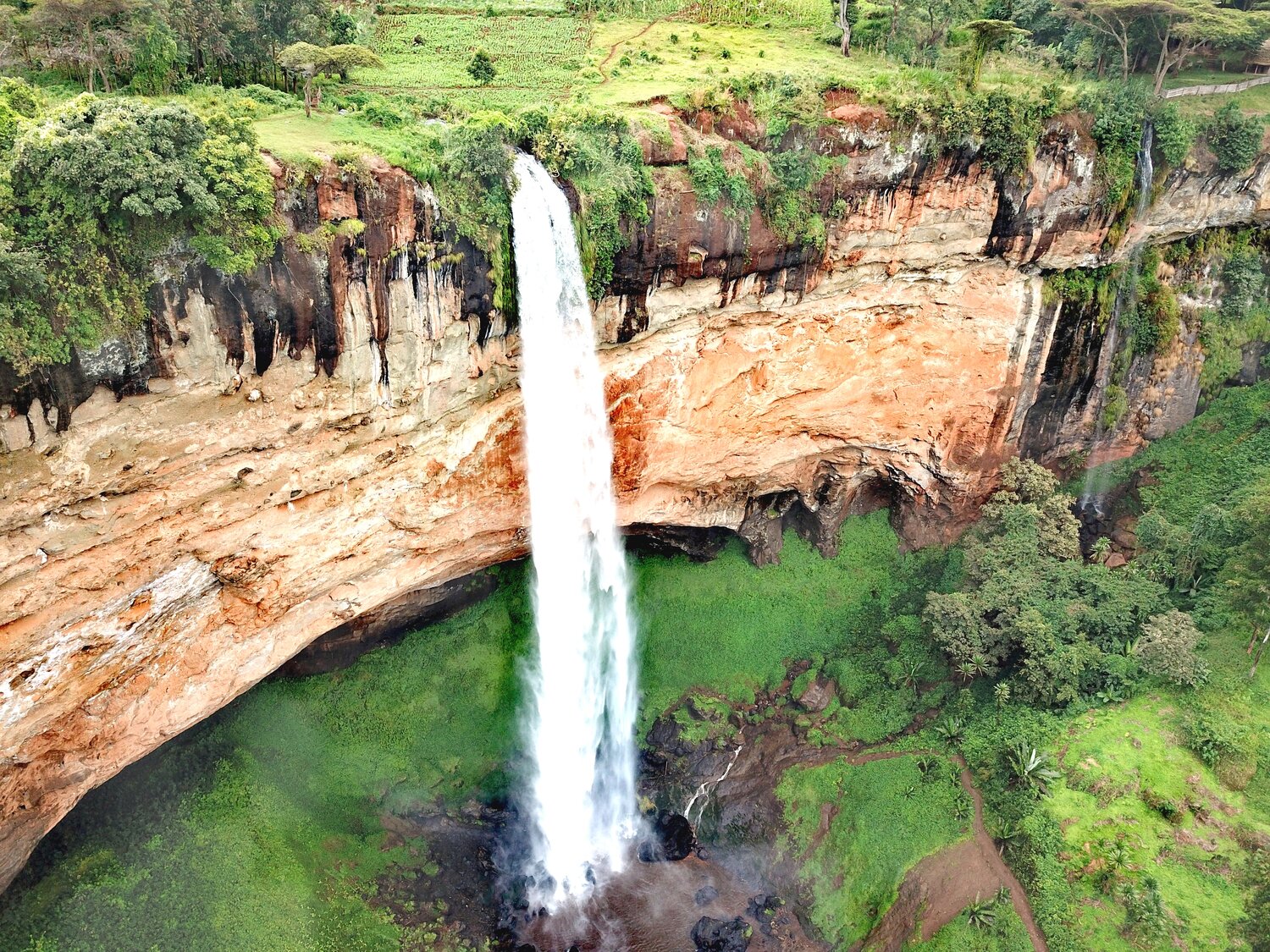 You are currently viewing 3 days sipi falls safari