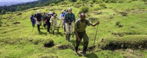 Read more about the article 3 days mount karisimbi hiking tour