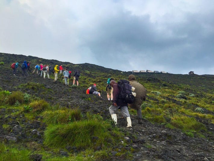Read more about the article 3 days Nyiragongo hike Safari