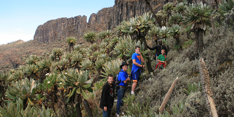 You are currently viewing 8 days Mount Elgon hiking safari
