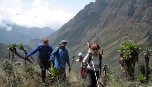 Read more about the article 5 days Queen Elizabeth and Mount Rwenzori safari