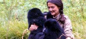 Read more about the article Dian Fossey