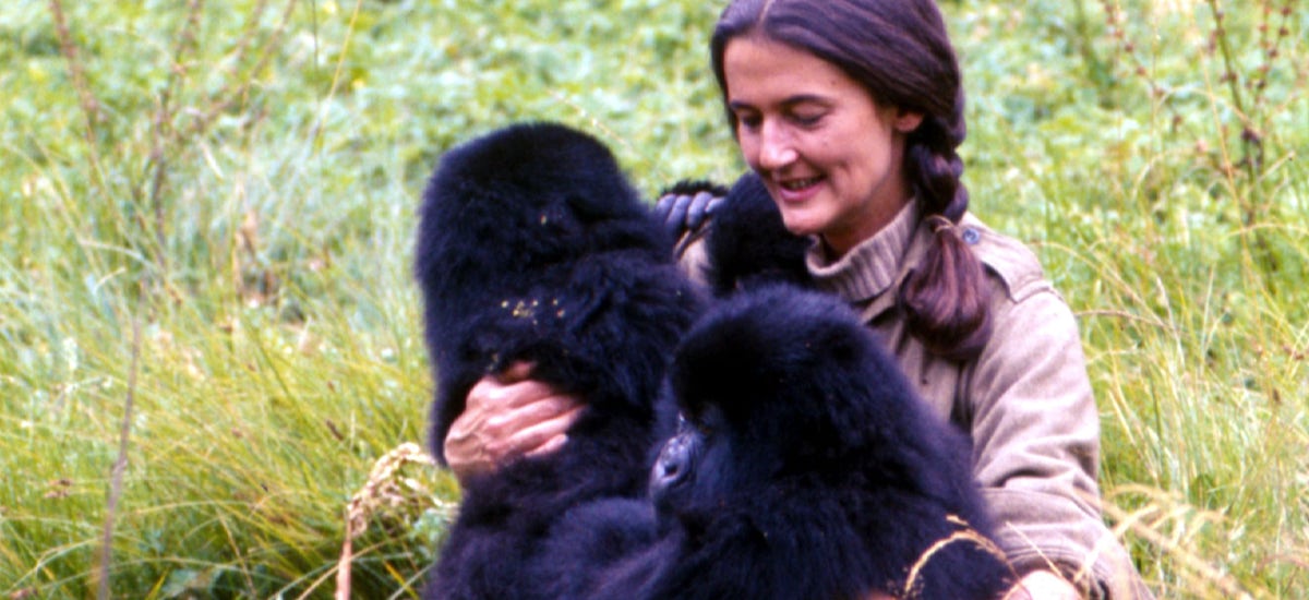 You are currently viewing Dian Fossey