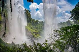 Read more about the article Water falls in Uganda.